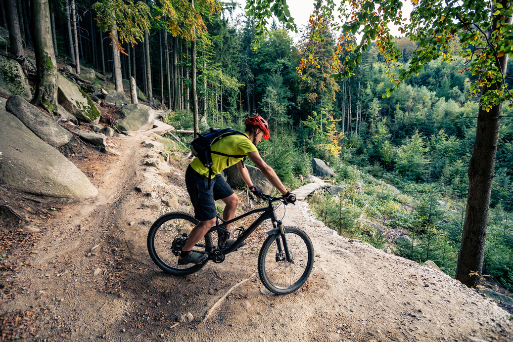 Mountain biker riding on bike on forest dirt trail